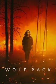 Wolf Pack saison 1